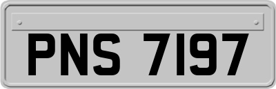 PNS7197