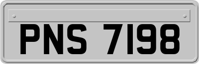 PNS7198