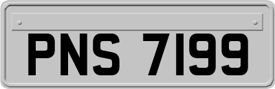 PNS7199