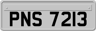 PNS7213