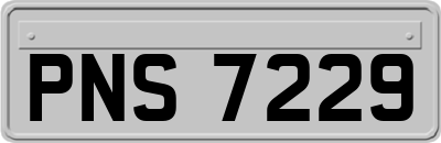 PNS7229