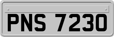 PNS7230