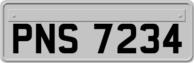 PNS7234