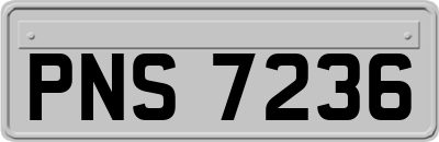PNS7236
