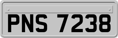 PNS7238
