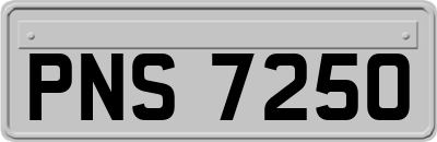 PNS7250