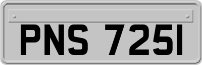 PNS7251