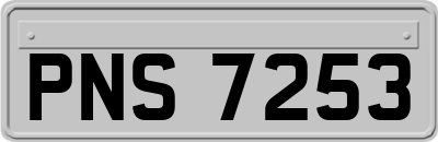 PNS7253