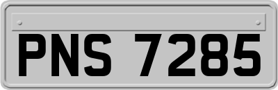 PNS7285