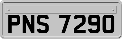 PNS7290