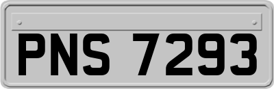 PNS7293