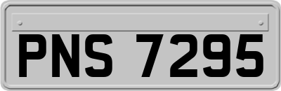 PNS7295