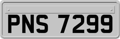 PNS7299