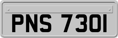 PNS7301