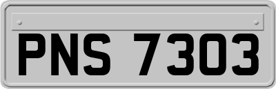 PNS7303