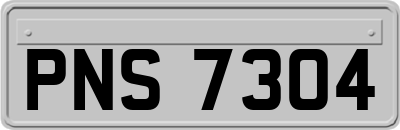 PNS7304