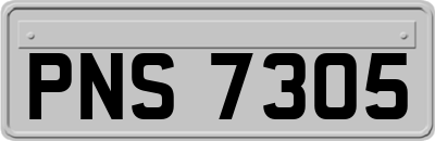 PNS7305