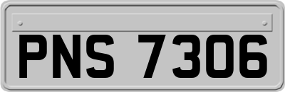 PNS7306