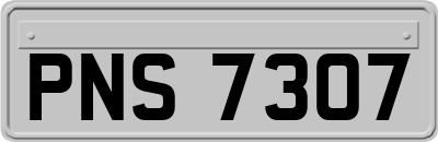 PNS7307