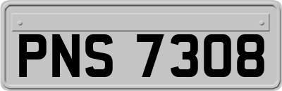 PNS7308