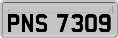 PNS7309