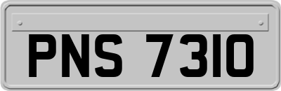 PNS7310