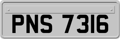 PNS7316
