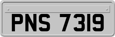 PNS7319