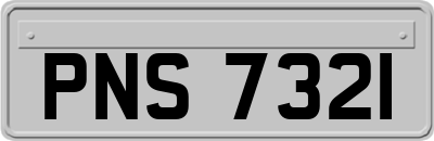 PNS7321