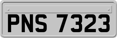 PNS7323