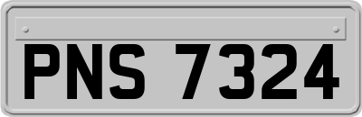 PNS7324