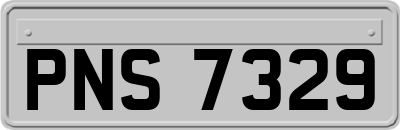 PNS7329