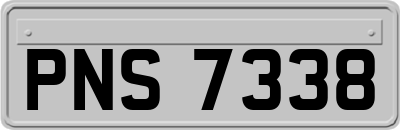 PNS7338