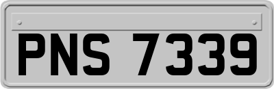 PNS7339