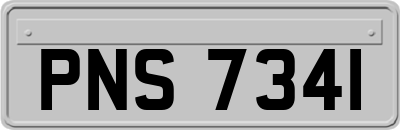 PNS7341