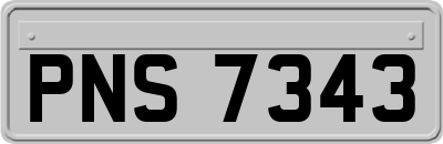 PNS7343