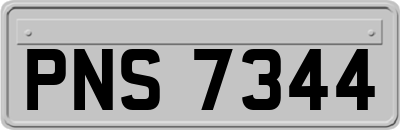 PNS7344