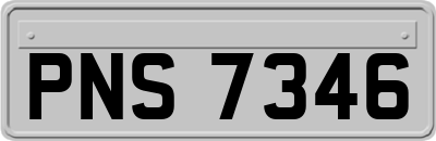 PNS7346