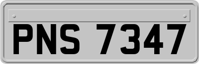 PNS7347