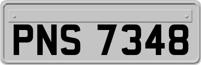 PNS7348