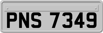 PNS7349