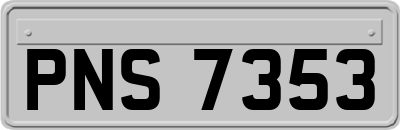 PNS7353
