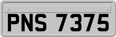 PNS7375