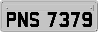 PNS7379