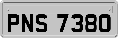 PNS7380