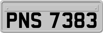 PNS7383