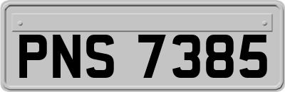 PNS7385
