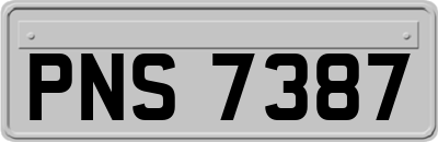 PNS7387