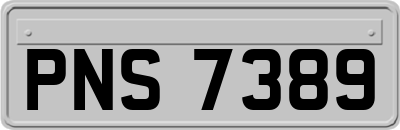 PNS7389