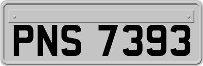 PNS7393